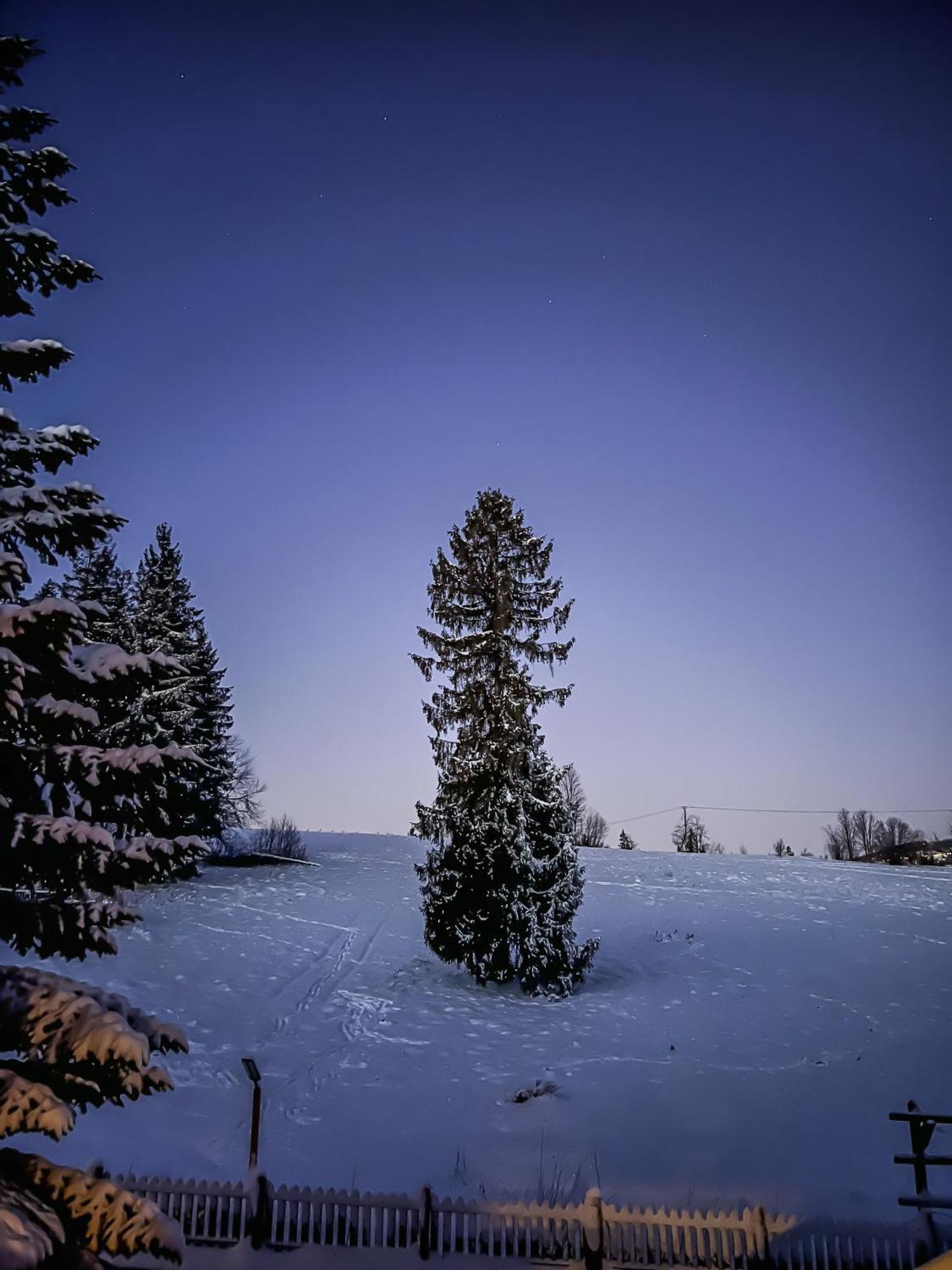 Apartmán Gontyna Zakopane Exteriér fotografie
